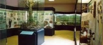 Museo Civico di Storia Naturale di Ferrara